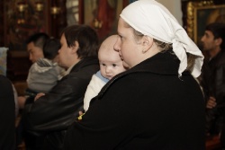 _MG_5065 - �����